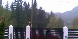 Automatizarea porților este un proces simplu și ultra eficient automatizare porti batante culisante Piatra Neamt Targu Neamt Roman