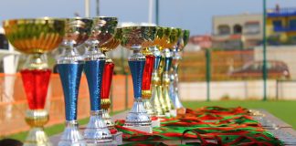 De ce cupele sportive personalizate sunt o bună opțiune pentru a recompensa câștigătorii?