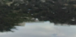 Cheie auto pierdută sau contact defect în Piatra Neamț? Tehnicianul ajunge la tine în cel mai scurt timp Cheie auto pierdută sau contact defect în Piatra Neamț? Tehnicianul ajunge la tine în cel mai scurt timp